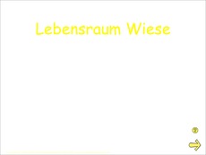 Lebensraum Wiese Präsentation-vertont.pdf